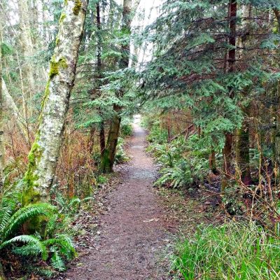 Whidbey_path_2